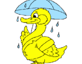 Desenho Pato sob a chuva pintado por wallacy