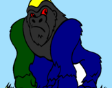 Desenho Gorila pintado por NADIM45