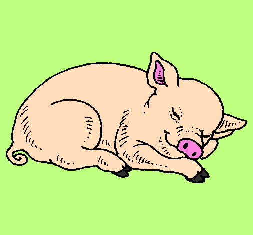 Desenho Porco a dormir pintado por croc