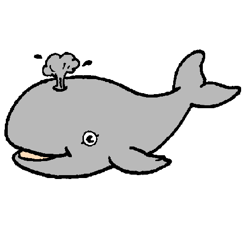 Desenho Baleia a expulsar água pintado por baleia