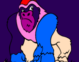 Desenho Gorila pintado por morena