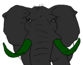 Desenho Elefante africano pintado por Nadim_bittar