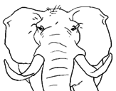 Desenho Elefante africano pintado por Milena