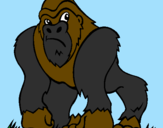 Desenho Gorila pintado por qwe