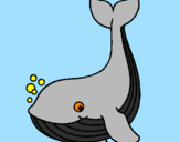 Desenho Pequena baleia pintado por joao victor