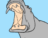 Desenho Hipopótamo com a boca aberta pintado por julia arielly bueno