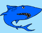 Desenho Tubarão pintado por caveirinha