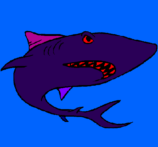 Tubarão