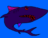 Desenho Tubarão pintado por joao lucas