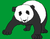 Desenho Urso panda pintado por sa