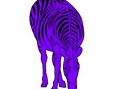 Desenho Zebra pintado por garça COELHO DO LEOZINHO