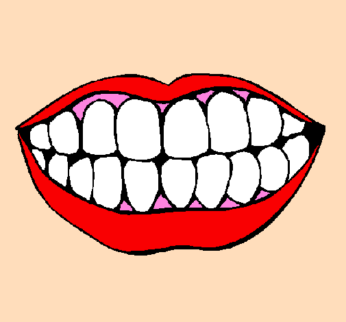 Boca e dentes