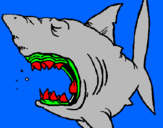 Desenho Tubarão pintado por luis  -tubarao