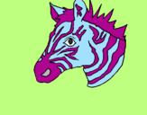Desenho Zebra II pintado por cooda