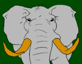 Desenho Elefante africano pintado por joão pedro