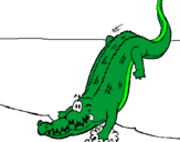 Desenho Crocodilo a entrar na água pintado por AninhaSSP
