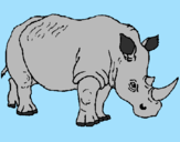 Desenho Rinoceronte pintado por Starsky 