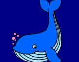 Desenho Pequena baleia pintado por gabrielle