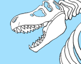 Desenho Esqueleto tiranossauro rex pintado por TARCiSiO