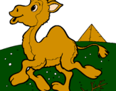 Desenho Camelo pintado por ana  clara  cinquarolli