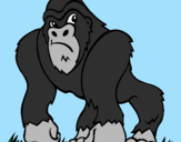 Desenho Gorila pintado por L1