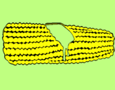 Desenho Espiga de milho  pintado por DIOGO  