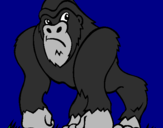 Desenho Gorila pintado por vitoria