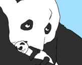 Desenho Urso panda com a sua cria pintado por cooda