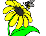 Desenho Margarida com abelha pintado por Jú
