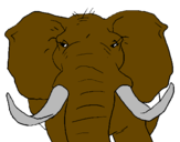 Desenho Elefante africano pintado por Elefante Africano