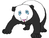 Desenho Urso panda pintado por sofia