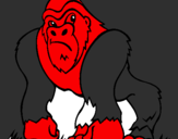 Desenho Gorila pintado por mauricinho o