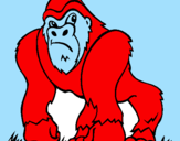 Desenho Gorila pintado por f