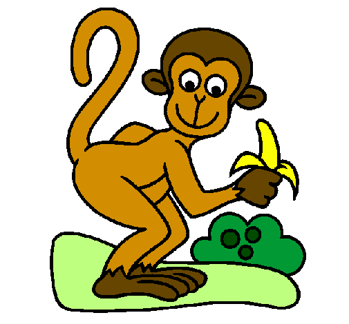 Macaco no galho para colorir - Imprimir Desenhos
