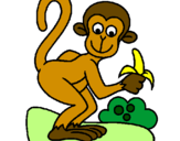Desenho Gracioso pintado por macaco galho
