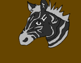 Desenho Zebra II pintado por giovana