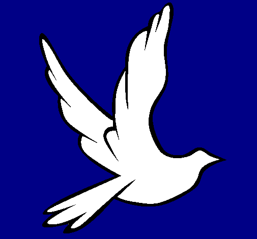Pomba da paz a voar