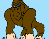 Desenho Gorila pintado por gapu