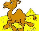 Desenho Camelo pintado por gabriel