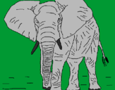 Desenho Elefante pintado por qqqq