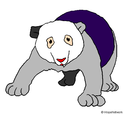 Urso panda