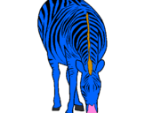 Desenho Zebra pintado por ana