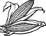 Desenho Espiga de milho  pintado por kk