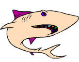 Desenho Tubarão pintado por João