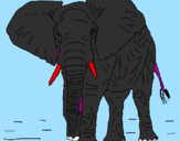 Desenho Elefante pintado por MATEUS