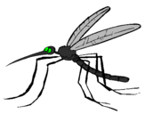 Desenho Mosquito pintado por mosquito olho verde