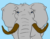 Desenho Elefante africano pintado por joao rodrigo