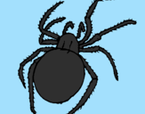 Desenho Aranha venenosa pintado por katy