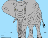Desenho Elefante pintado por teu  ;ana ;