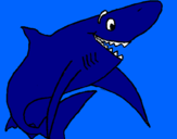 Desenho Tiburão alegre pintado por gabriel gomes